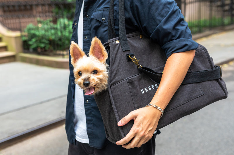 'The Daily' Packable Pet Carrier