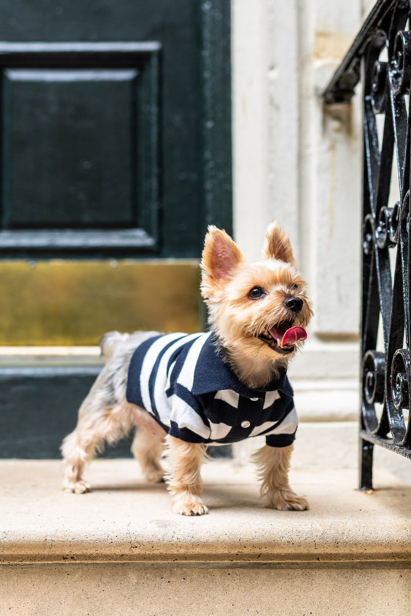 ‘Gene’ Cashmere blend Polo