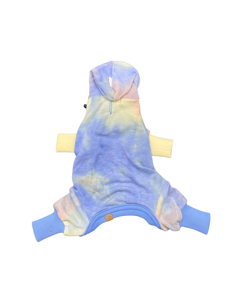 Teddy fresh 2025 hoodie for dogs