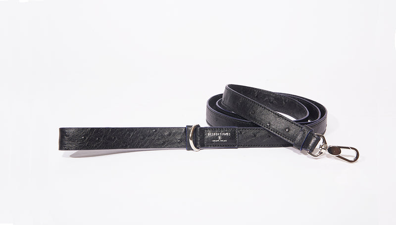 Luxury Pet Leash for Dogs and Cats – BESPOKE PAWS by Ivy Higa